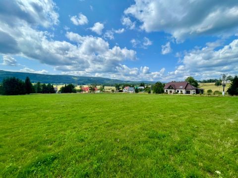 Prodej pozemku, 3 067 m² - Orlické Záhoří